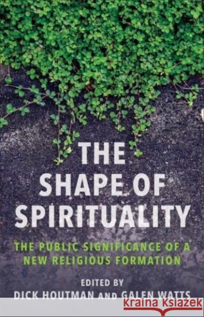 The Shape of Spirituality: The Public Significance of a New Religious Formation Dick Houtman Galen Watts 9780231216845