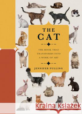 Paperscapes: The Cat: A Book That Transforms Into a Work of Art Pulling, Jennifer 9780233005829 Welbeck Publishing Group