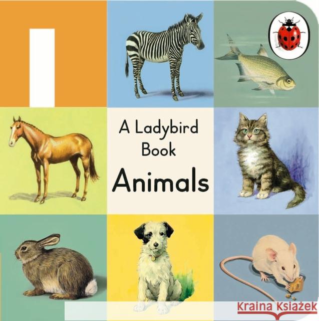 A Ladybird Buggy Book: Animals  9780241303528 Penguin Random House Children's UK