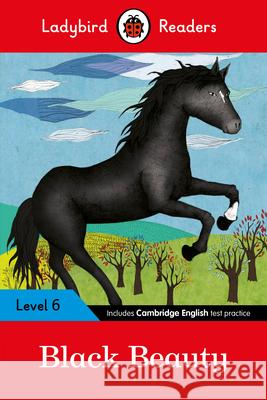 Ladybird Readers Level 6 - Black Beauty (ELT Graded Reader) Ladybird 9780241336175