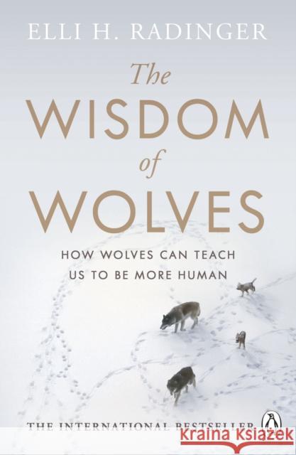 The Wisdom of Wolves: How Wolves Can Teach Us To Be More Human Elli H. Radinger 9780241346730