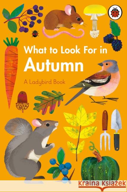 What to Look For in Autumn Elizabeth Jenner 9780241416167
