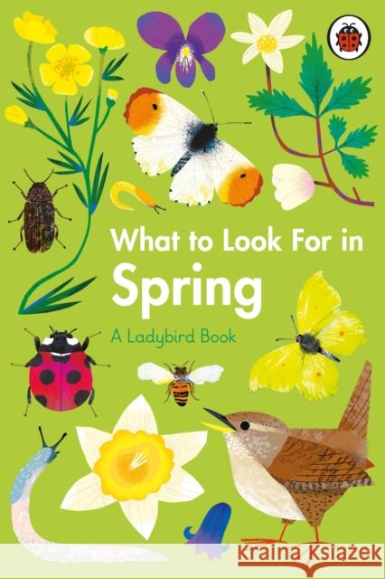 What to Look For in Spring Elizabeth Jenner 9780241416181