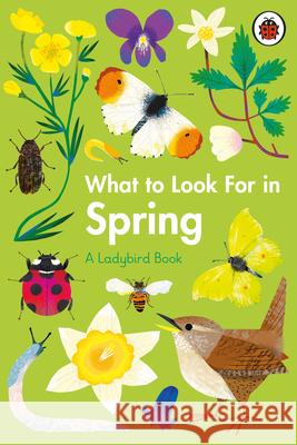 What to Look For in Spring Elizabeth Jenner 9780241416181