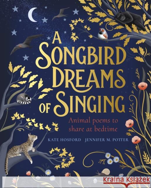 A Songbird Dreams of Singing Kate Hosford 9780241421123