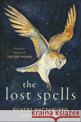 The Lost Spells: An enchanting, beautiful book for lovers of the natural world Jackie Morris 9780241444641 Penguin Books Ltd