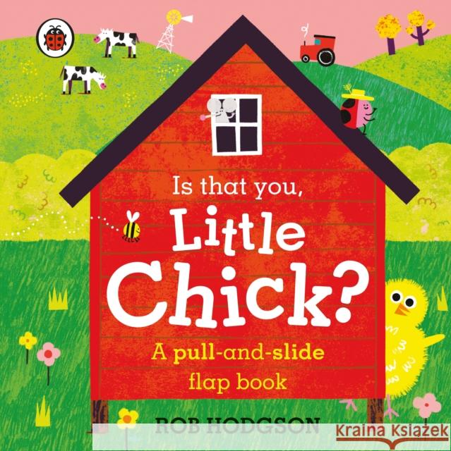 Is that you, Little Chick?: A pull-and-slide flap book Ladybird 9780241456798