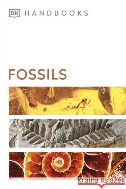 Fossils David Ward 9780241471432