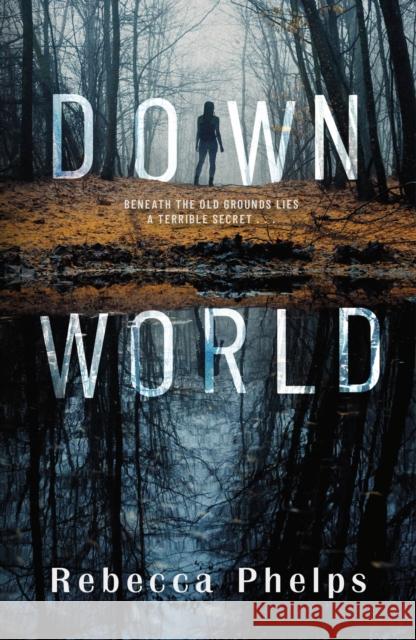 Down World Rebecca Phelps 9780241493434