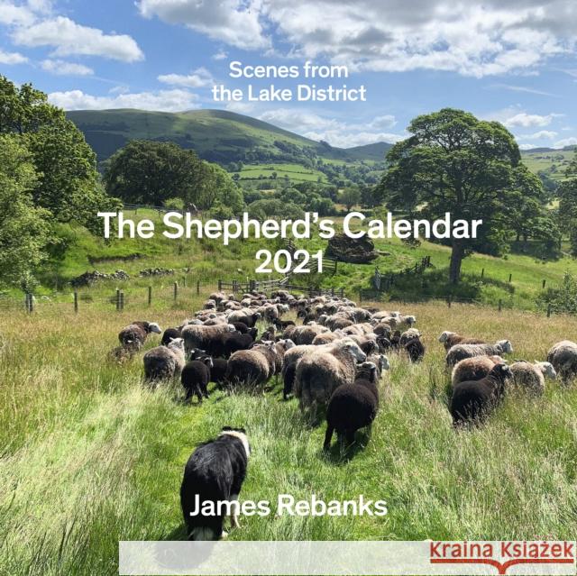 The Shepherd's Calendar James Rebanks 9780241501795 Penguin Books Ltd