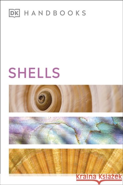 Shells S. Peter Dance 9780241515518 Dorling Kindersley Ltd