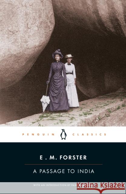 A Passage to India E. M. Forster 9780241540428 Penguin Books Ltd