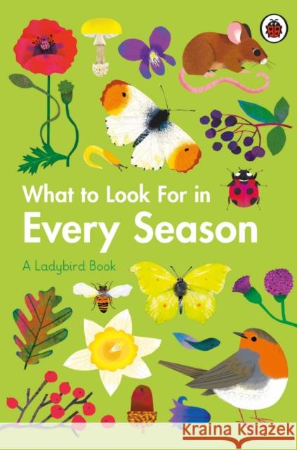 What to Look For in Every Season: A Ladybird Book Boxset Elizabeth Jenner 9780241551127