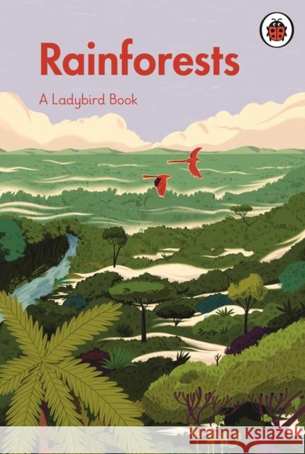 A Ladybird Book: Rainforests Ladybird 9780241555019