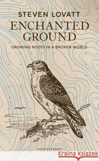 Enchanted Ground: Growing Roots in a Broken World Steven Lovatt 9780241561386