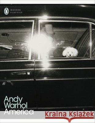America Andy Warhol 9780241586273