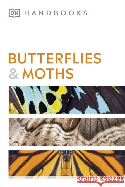 Butterflies and Moths David Carter 9780241600993