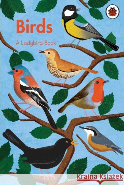 A Ladybird Book: Birds Ladybird 9780241626214 Penguin Random House Children's UK