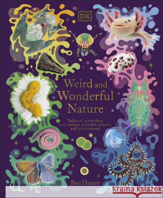 Weird and Wonderful Nature: Tales of More Than 100 Unique Animals, Plants, and Phenomena Ben Hoare 9780241632314
