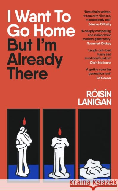 I Want To Go Home But I'm Already There Roisin Lanigan 9780241668535