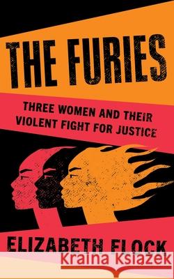 The Furies: Three Women and Their Violent Fight for Justice Elizabeth Flock 9780241678015 Penguin Books Ltd