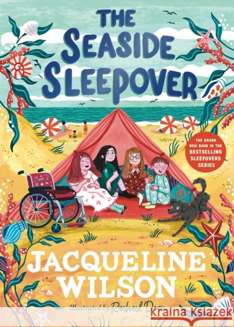 The Seaside Sleepover Wilson, Jacqueline 9780241684122 Penguin Random House Children's UK