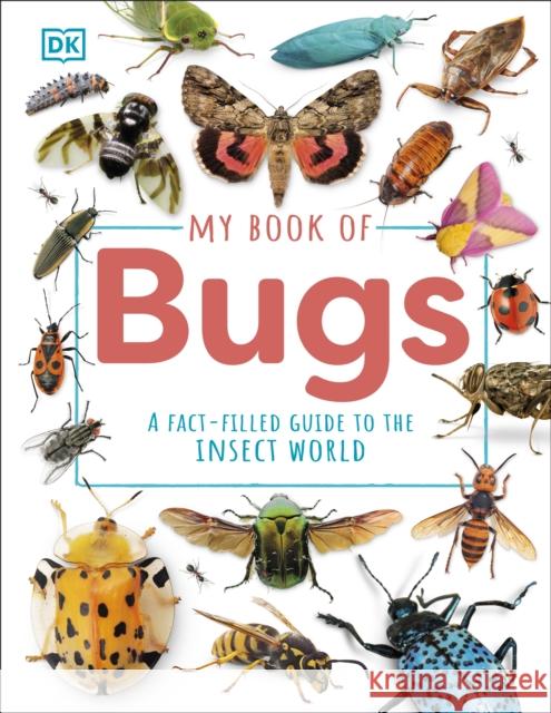 My Book of Bugs: A Fact-Filled Guide to the Insect World Hubbard, Ben 9780241704813