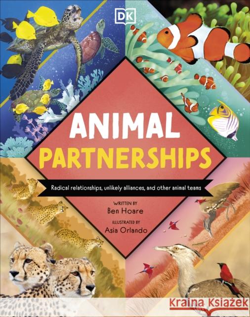 Animal Partnerships: Radical Relationships, Unlikely Alliances, and Other Animal Teams Ben Hoare 9780241739891