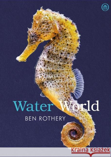 Water World Ben Rothery 9780241741023