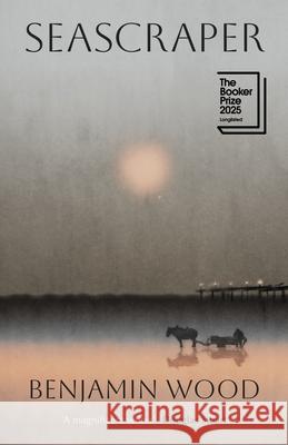 Seascraper Benjamin Wood 9780241741344