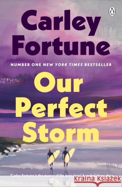 Our Perfect Storm Carley Fortune 9780241813782