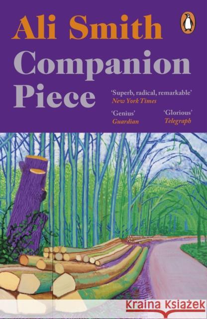 Companion piece: The new novel from the Booker-shortlisted author of How to be both Ali Smith 9780241993958 Penguin Books Ltd