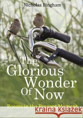 The Glorious Wonder of Now; Poems in the Present Moment Nicholas Bingham 9780244089443 Lulu.com