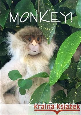 Monkey Kate Sargent 9780244134723