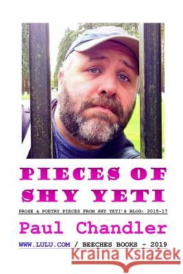 Pieces of Shy Yeti Paul Chandler 9780244169893