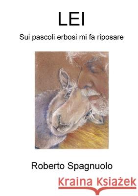 Lei Roberto Spagnuolo 9780244214609