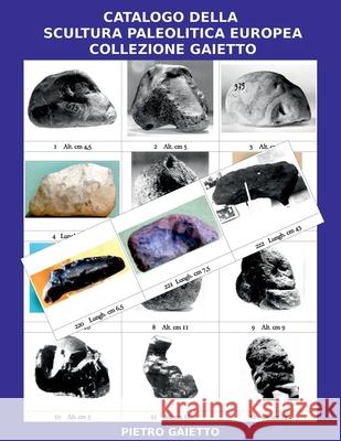 Catalogo della Scultura Paleolitica Europea Collezione Gaietto Pietro Gaietto 9780244241100