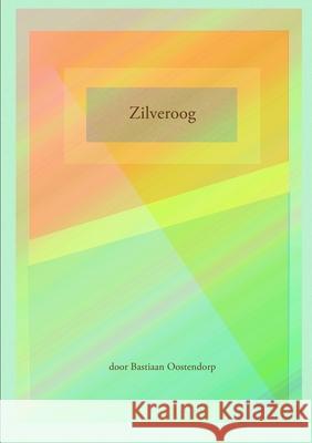 Zilveroogsteen Bastiaan Oostendorp 9780244301071