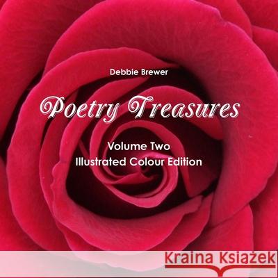 Poetry Treasures - Volume Two Debbie Brewer 9780244379933 Lulu.com