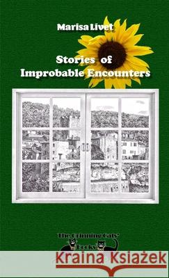 Stories of Improbable Encounters Marisa Livet 9780244516253