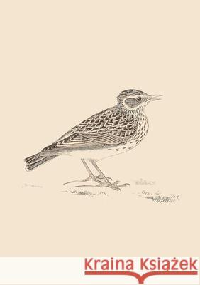 Sonnets for Birds Mark Staniforth 9780244526924