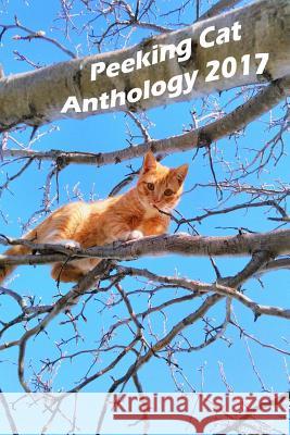 Peeking Cat Anthology 2017 Sam Rose 9780244634988 Lulu.com