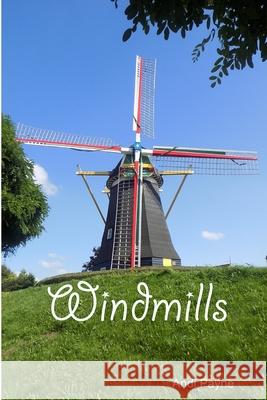 Windmills Andi Payne 9780244650643 Lulu.com