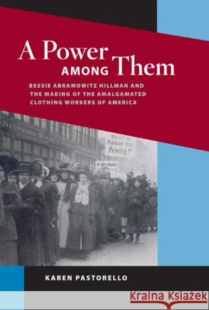 A Power Among Them: Bessie Abramowitz Hillman and the Making of the Amalgamated Clothing Workers of America Karen Pastorello 9780252032301