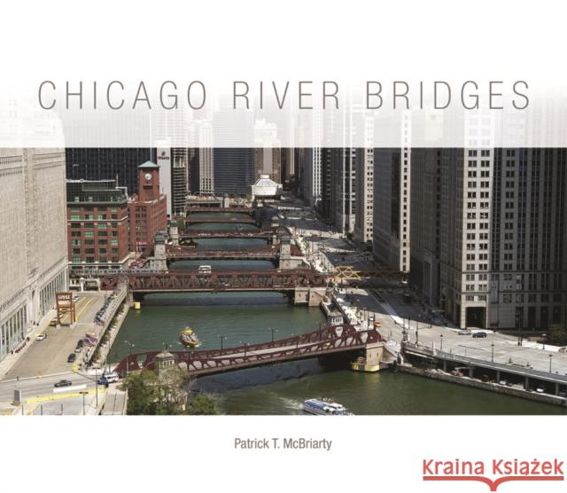 Chicago River Bridges Patrick T. McBriarty 9780252037863 University of Illinois Press