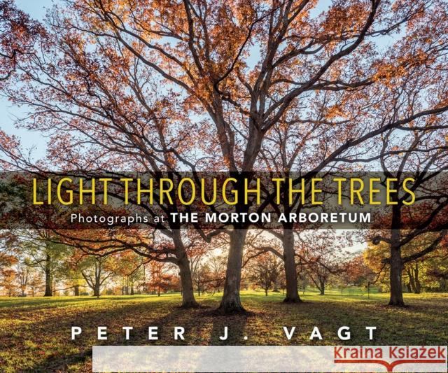 Light Through the Trees: Photographs at the Morton Arboretum Peter J. Vagt 9780252044601 3 Fields Books