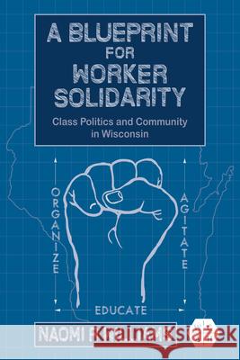 A Blueprint for Worker Solidarity: Class Politics and Community in Wisconsin Naomi R. Williams 9780252046247