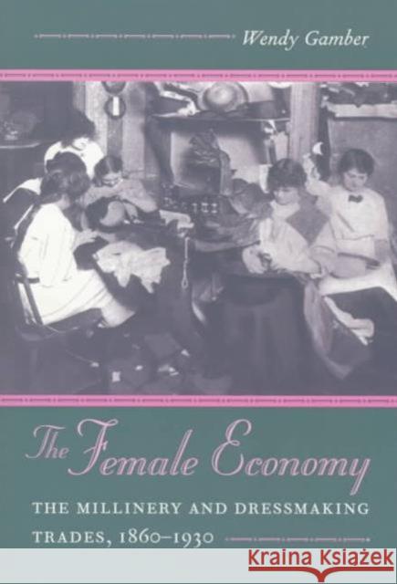 The Female Economy: The Millinery and Dressmaking Trades, 1860-1930 Gamber, Wendy 9780252066016