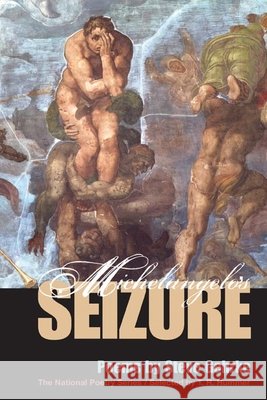 Michelangelo's Seizure Steve Gehrke T. R. Hummer 9780252074202
