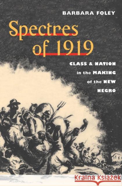 Spectres of 1919: Class and Nation in the Making of the New Negro Foley, Barbara 9780252075858 University of Illinois Press